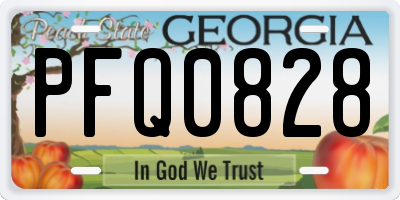 GA license plate PFQ0828