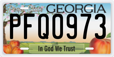 GA license plate PFQ0973