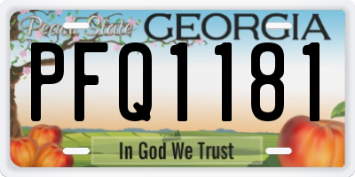 GA license plate PFQ1181