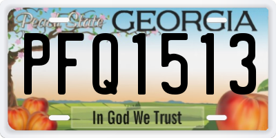 GA license plate PFQ1513