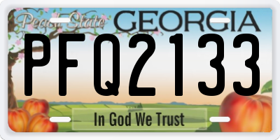 GA license plate PFQ2133