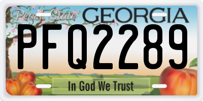 GA license plate PFQ2289