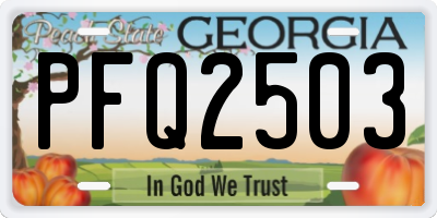 GA license plate PFQ2503