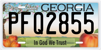 GA license plate PFQ2855