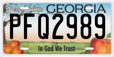 GA license plate PFQ2989