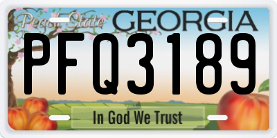 GA license plate PFQ3189