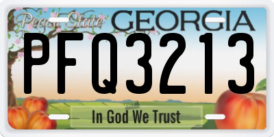 GA license plate PFQ3213