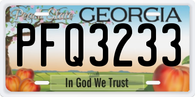 GA license plate PFQ3233
