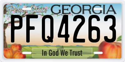 GA license plate PFQ4263