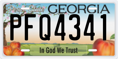 GA license plate PFQ4341
