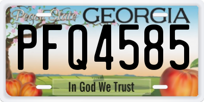 GA license plate PFQ4585