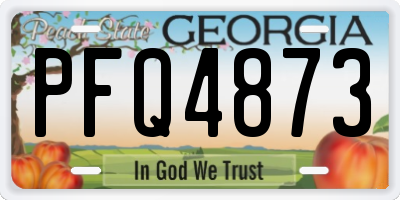 GA license plate PFQ4873
