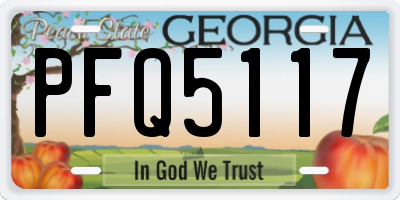 GA license plate PFQ5117