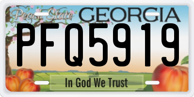 GA license plate PFQ5919