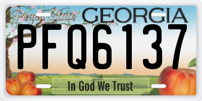GA license plate PFQ6137