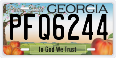 GA license plate PFQ6244