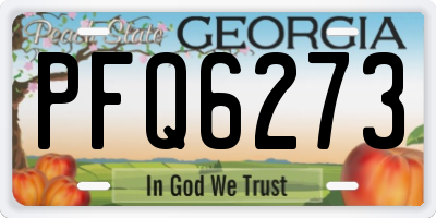 GA license plate PFQ6273