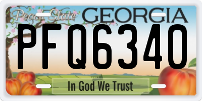 GA license plate PFQ6340