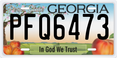 GA license plate PFQ6473