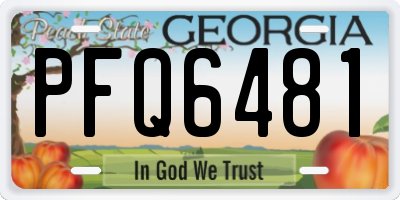 GA license plate PFQ6481