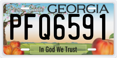 GA license plate PFQ6591