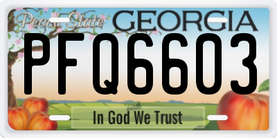 GA license plate PFQ6603