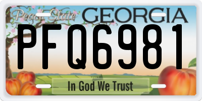 GA license plate PFQ6981
