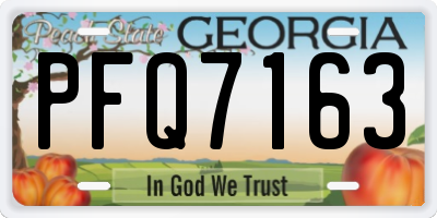 GA license plate PFQ7163