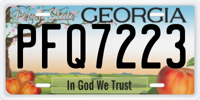 GA license plate PFQ7223