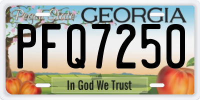 GA license plate PFQ7250