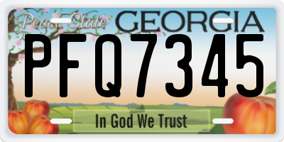 GA license plate PFQ7345