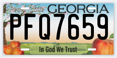 GA license plate PFQ7659