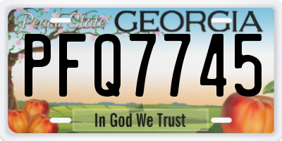 GA license plate PFQ7745