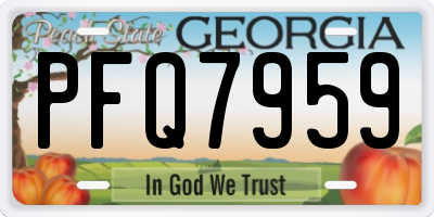 GA license plate PFQ7959