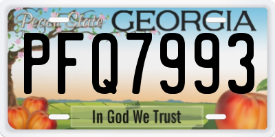 GA license plate PFQ7993