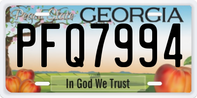 GA license plate PFQ7994