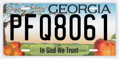 GA license plate PFQ8061