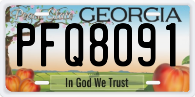GA license plate PFQ8091