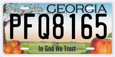 GA license plate PFQ8165