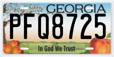 GA license plate PFQ8725
