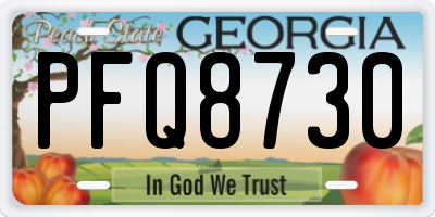 GA license plate PFQ8730