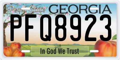 GA license plate PFQ8923