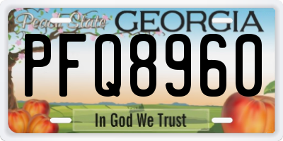 GA license plate PFQ8960