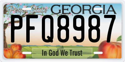 GA license plate PFQ8987
