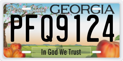 GA license plate PFQ9124
