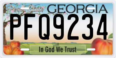 GA license plate PFQ9234