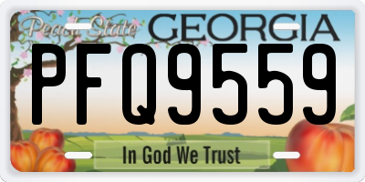 GA license plate PFQ9559