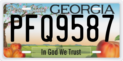 GA license plate PFQ9587