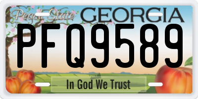 GA license plate PFQ9589