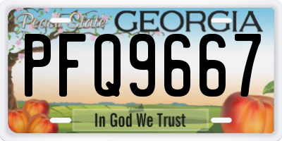 GA license plate PFQ9667